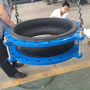 �V�|�͑��������z���^�����